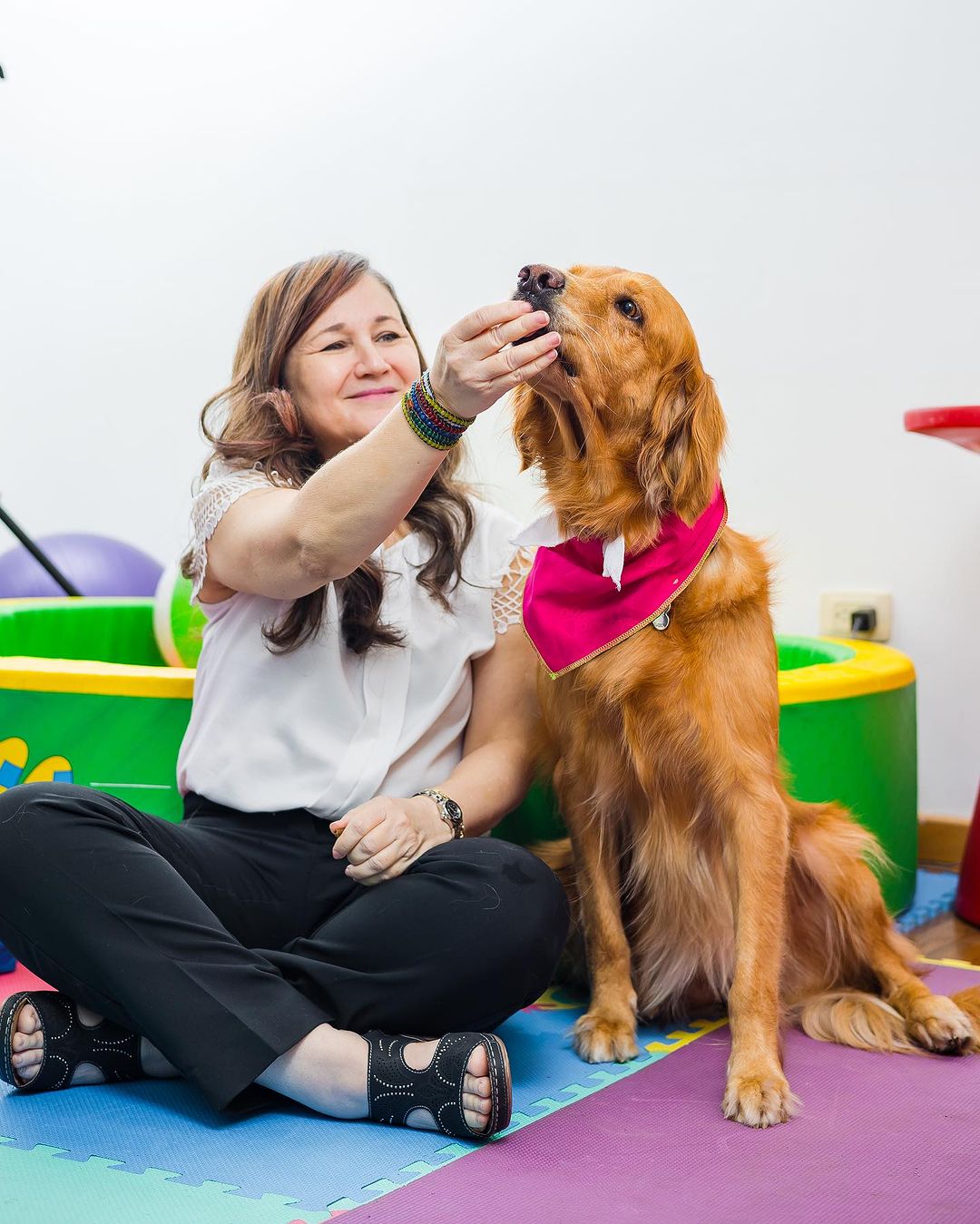 Terapia Asistida con Perros en personas con Trastorno del Espectro Autista (TEA) Terapia Asistida con Perros en personas con Trastorno del Espectro Autista (TEA)