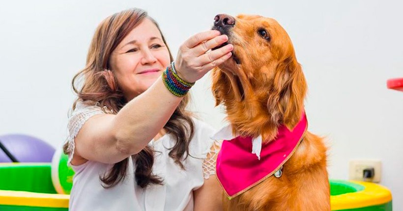 Terapia asistida por perros para pacientes con TEA