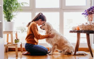 terapia de perros copesd scaled